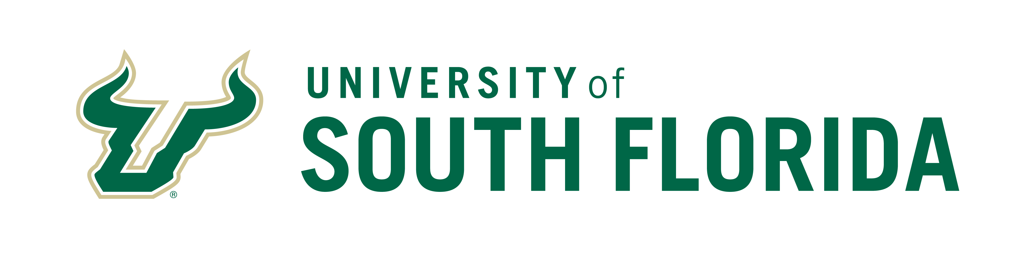 University of South Florida