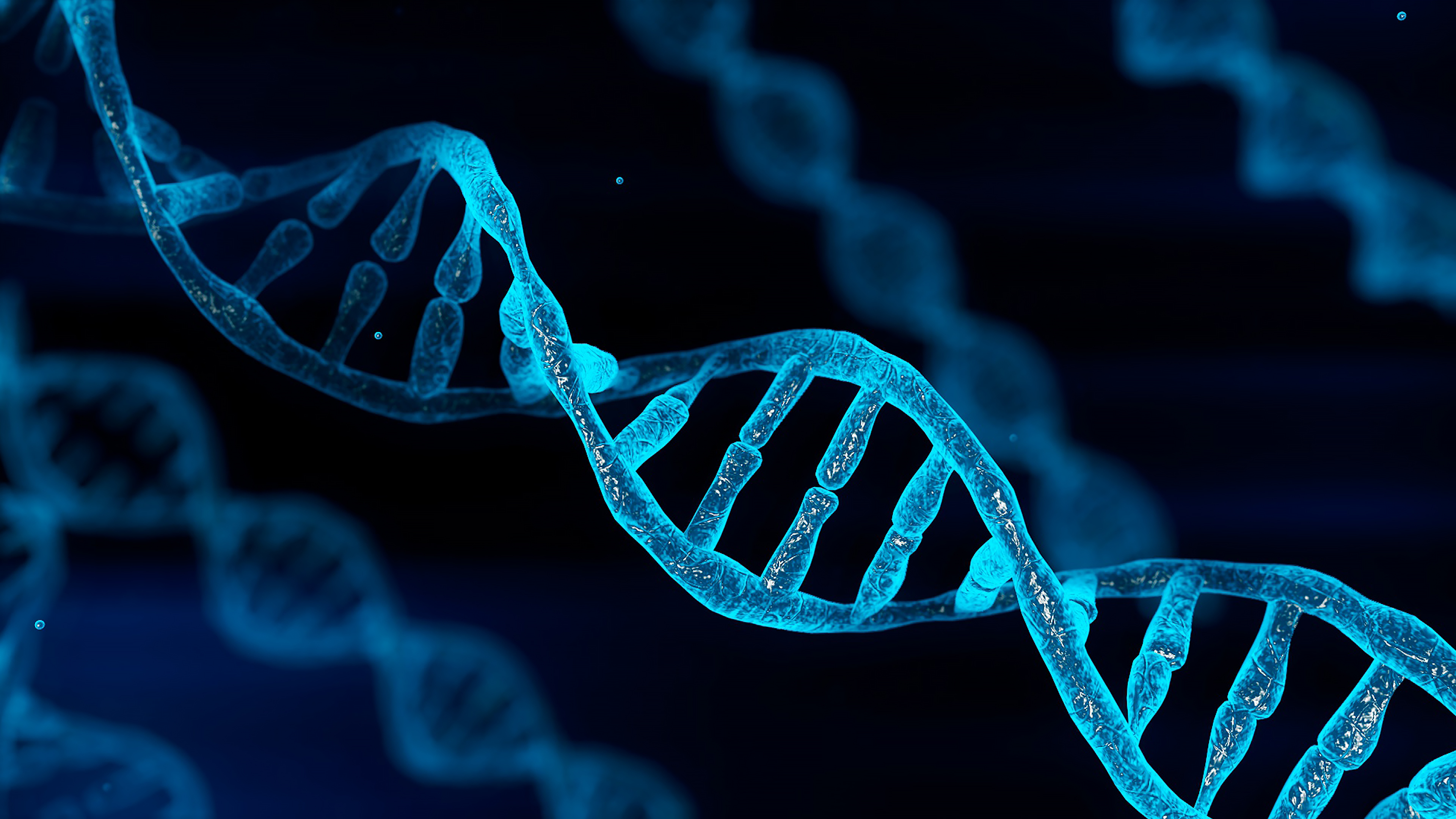 Image of DNA