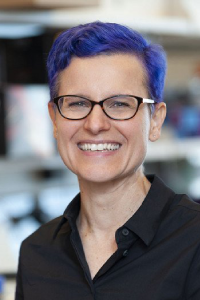 Gretchen Diehl, PhD