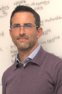 Randy Longman, MD, PhD