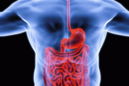 Body scan of digestive system illuminated in red