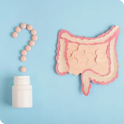 intestinal system