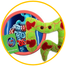 Giantmicrobe toy