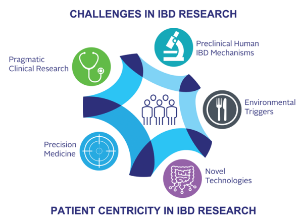 Challenges in IBD Research