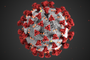 coronavirus image courtesy of the CDC