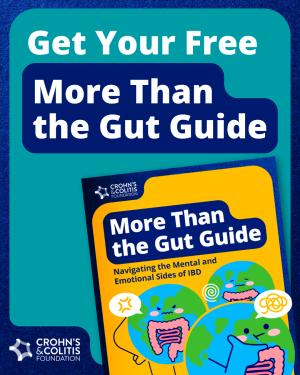 Graphic promoting the Foundation's helpful mental health resource the "More Than the Gut Guide"