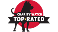 Charity Watch